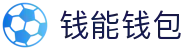 钱能钱包 - 一站式数字钱包支付平台